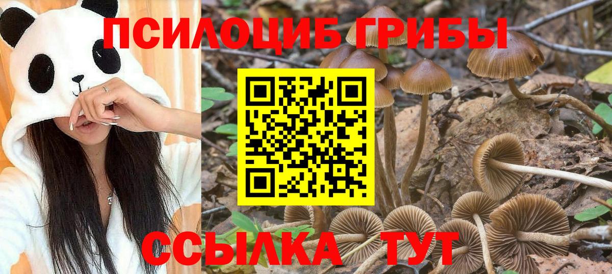 Псилоцибиновые грибы Magic Shrooms  Галлюциногенные грибы Cubensis  Вход с VPN  Североуральск 